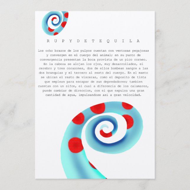 Oktopus (Vorderseite)