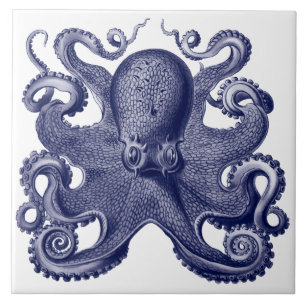Oktopus Blau & Weiß Fliese