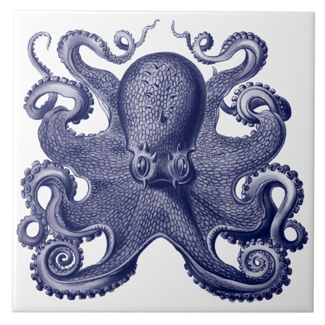 Oktopus Blau & Weiß Fliese (Vorderseite)
