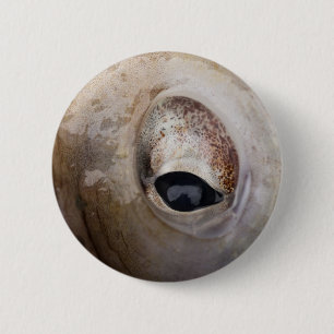 Oktopus Button