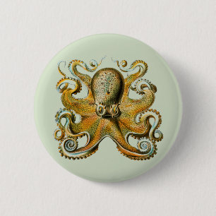 Oktopus Button