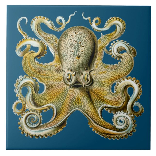 Oktopus Fliese (Vorderseite)