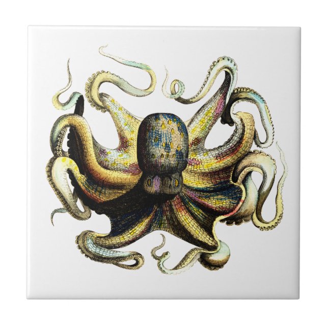 Oktopus Fliese (Vorderseite)