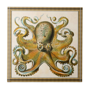 Oktopus Fliese