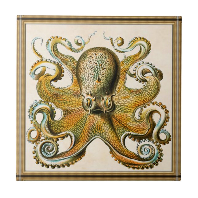 Oktopus Fliese (Vorderseite)