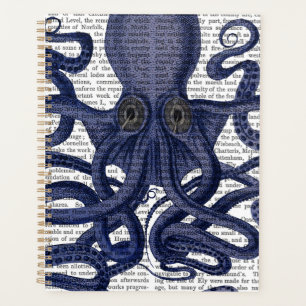 Oktopus hoch Nah Planer