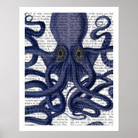 Oktopus hoch Nah