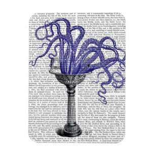 Oktopus in Sink Magnet