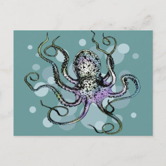 Oktopus Postkarte