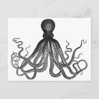 Oktopus Postkarte