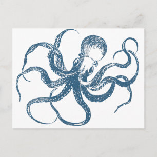 Oktopus-Postkarte Postkarte