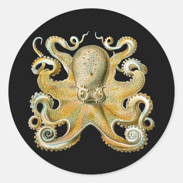 Oktopus Runder Aufkleber (Vorderseite)