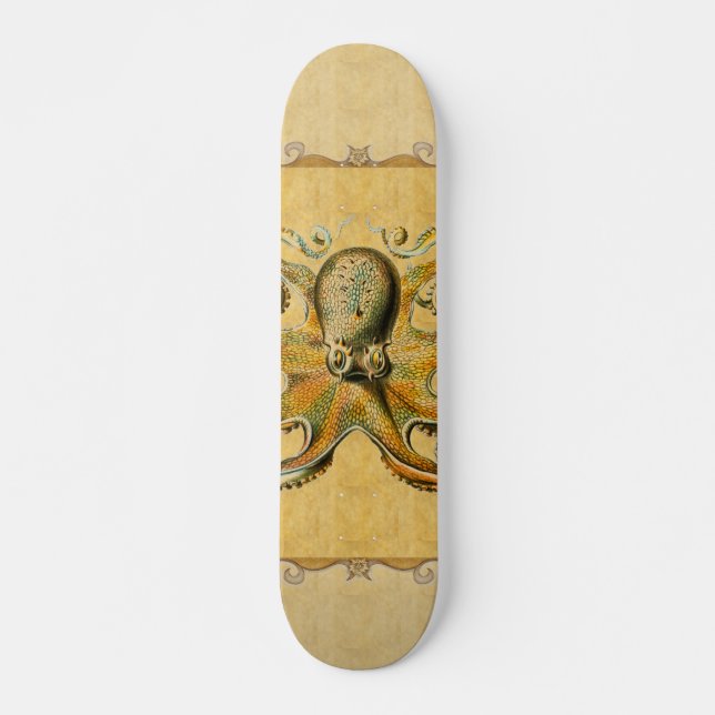 Oktopus-Skateboard Skateboard (Vorne)