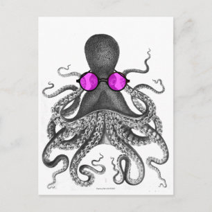 Oktopus Sonnenbrille Neugier Postkarte
