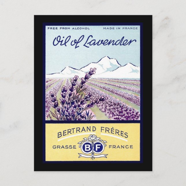 Öl aus Lavender - Grasse Frankreich Postkarte (Vorderseite)