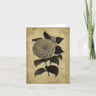 Ol' Rose- Prim Little Note Card Karte