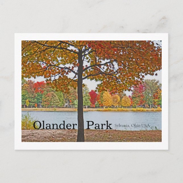 Olander Park, Sylvania, Ohio USA/Herbstfarben Postkarte (Vorderseite)