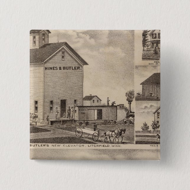 Ölbaum, Minnesota Button (Vorderseite)