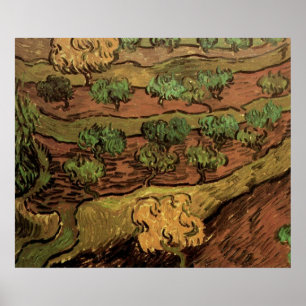 Ölbäume von Van Gogh gegen einen Hügelhang Poster