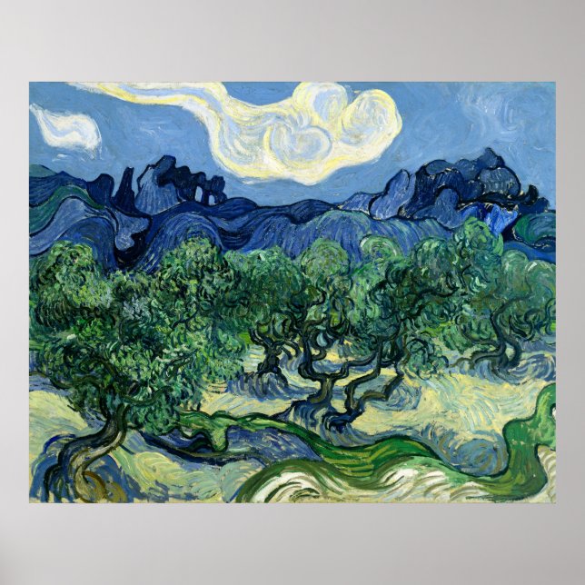 Ölbäume von Vincent van Gogh  Poster (Vorne)