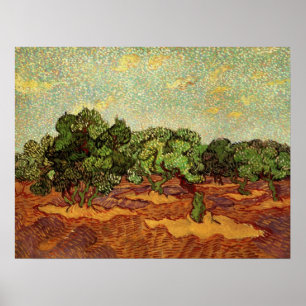 Ölbaumhain, hellblauer Himmel von Vincent van Gogh Poster
