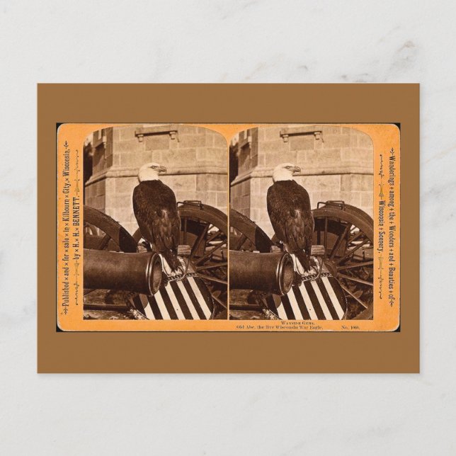 Old Abe, The Wisconsin War Eagle - Stereoview Postkarte (Vorderseite)