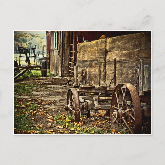 Old Amish Wagon Postkarte (Vorderseite)
