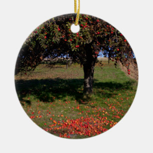 Old Apple Tree Keramikornament