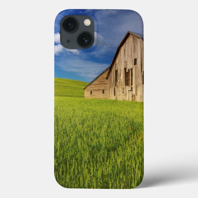Old Barn in Field of Spring Wheat Case-Mate iPhone Hülle (Rückseite)