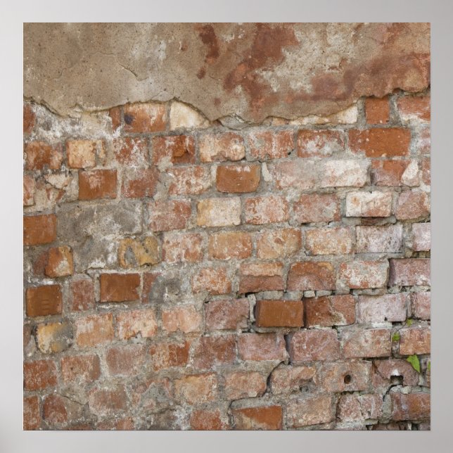 Old Brick Wall Poster (Vorne)