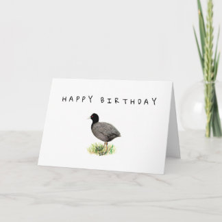 Old Coot Birthday Card Karte