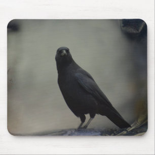 Old Crow Art Mousepad