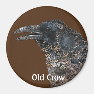 Old Crow Talking Canyons, New Mexico Magnet