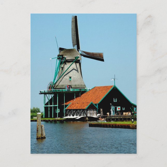 Old Dutch Windmill Postkarte (Vorderseite)
