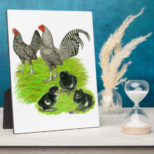 Old English Barred Bantam Family Fotoplatte