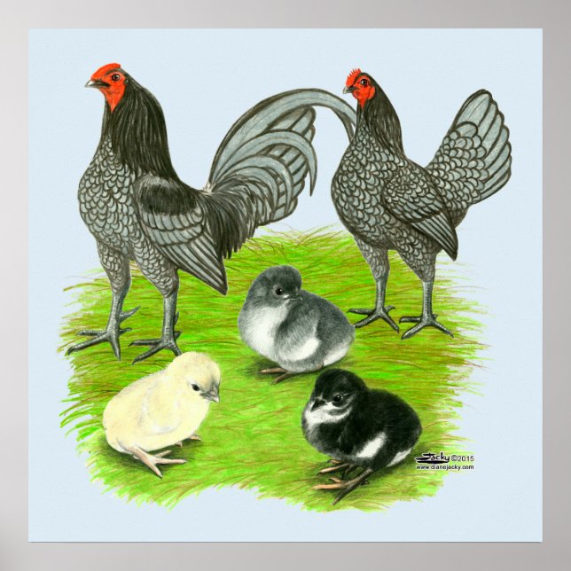 Old English Blue Game Family Poster (Vorne)