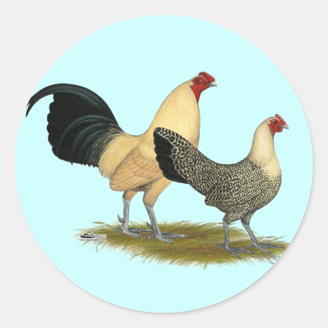 Old English Cream Buttercups Runder Aufkleber (Vorderseite)