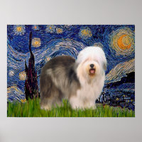 Old English (F) - Starry Night