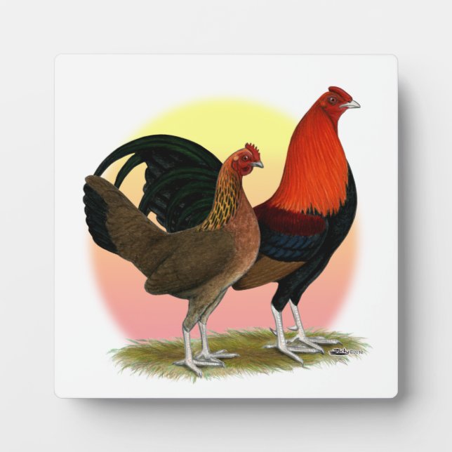 Old English Game Bantam: BB Red Fotoplatte (Vorderseite)