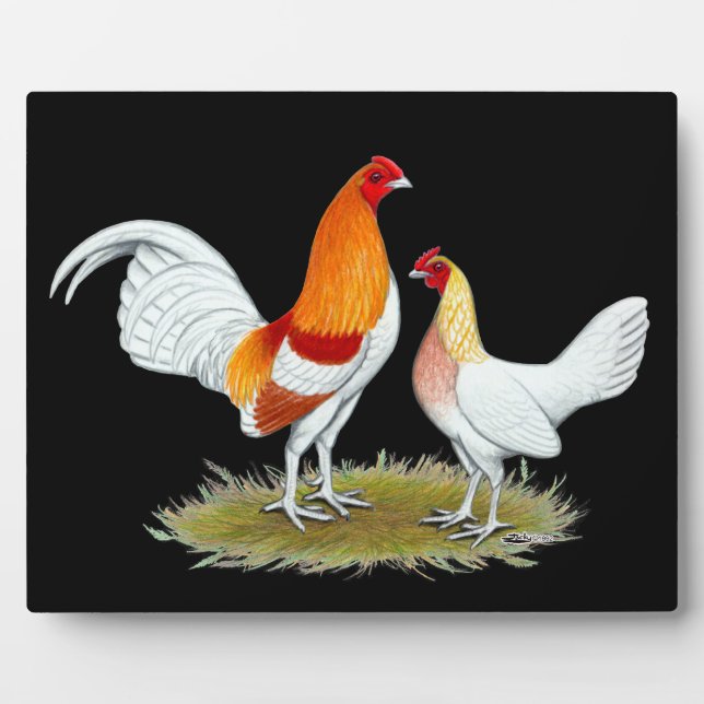 Old English Game Bantam: Red Pyle Fotoplatte (Vorderseite)