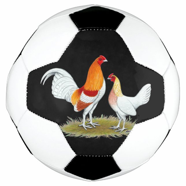 Old English Game Bantam: Red Pyle Fußball (Vorderseite)