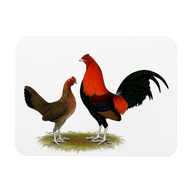Old English Game Bantams: BB Red Pair Magnet (Horizontal)