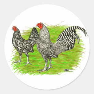 Old English Game Barred Chickens Runder Aufkleber