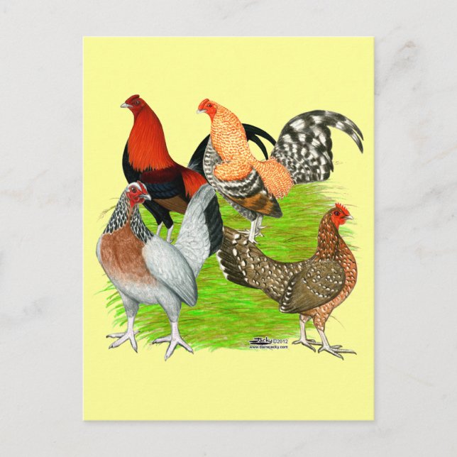 Old English Game Quartett Postkarte (Vorderseite)