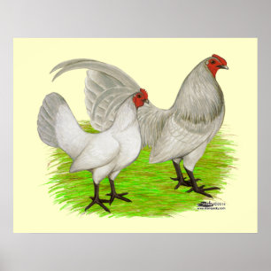 Old English Game Self Blue Poster