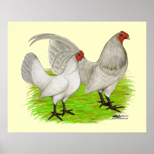 Old English Game Self Blue Poster (Vorne)