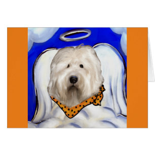 Old English Sheep Dog