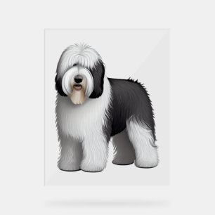 Old English Sheepdog 10 Acrylschild