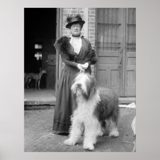 Old English Sheepdog, 1915 Poster