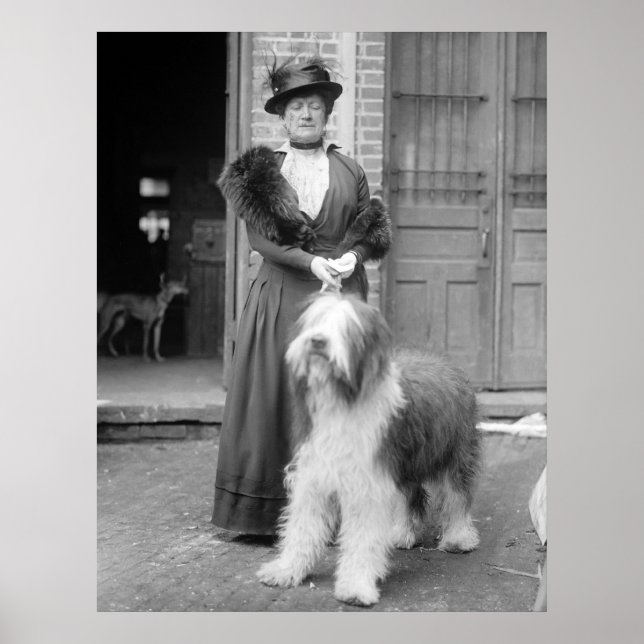 Old English Sheepdog, 1915 Poster (Vorne)
